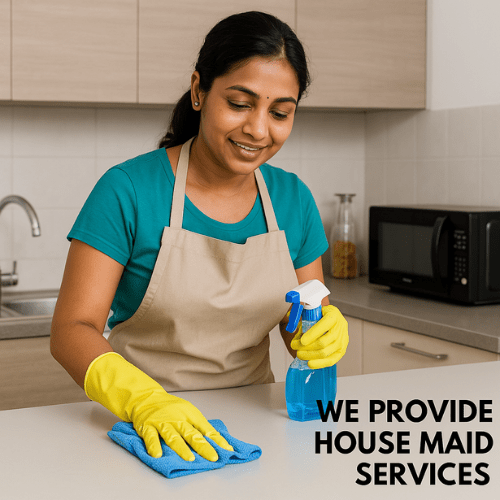 Professional Maid Service 1